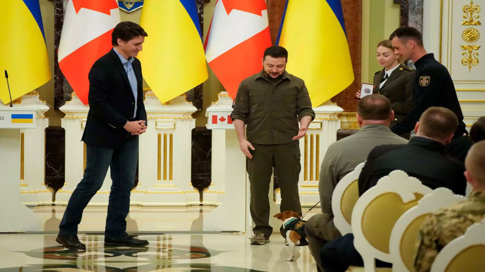 الرئيس الأوكراني يكرّم كلباً