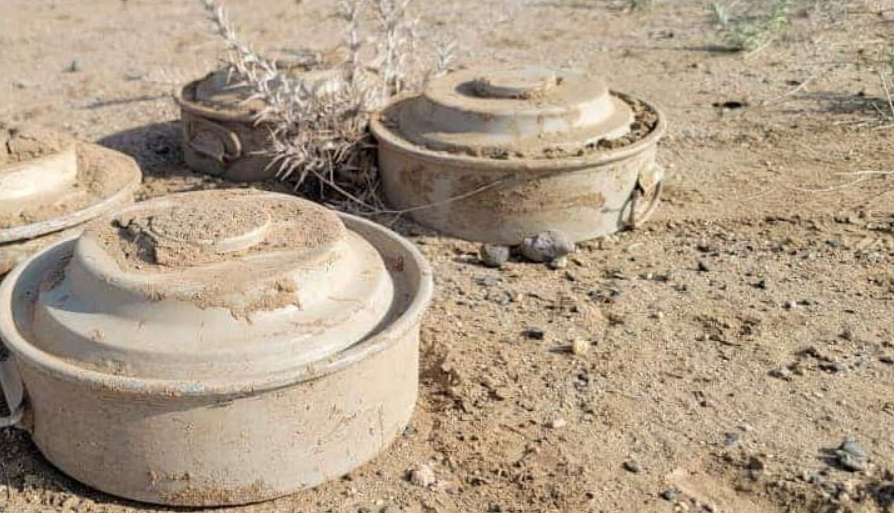 انتزاع 1201 لغم في الأراضي اليمنية عبر مشروع “مسام” خلال أسبوع
