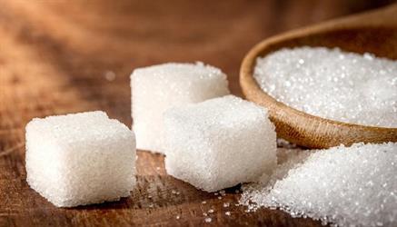 يسهم في تخفيض الوزن.. علماء روس يبتكرون بروتيناً أحلى من السكر ألفي مرة