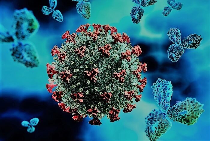 رغم تراجع الفيروس عالمياً.. دراسة طبية تكشف مفاجأة غير سارة عن كورونا
