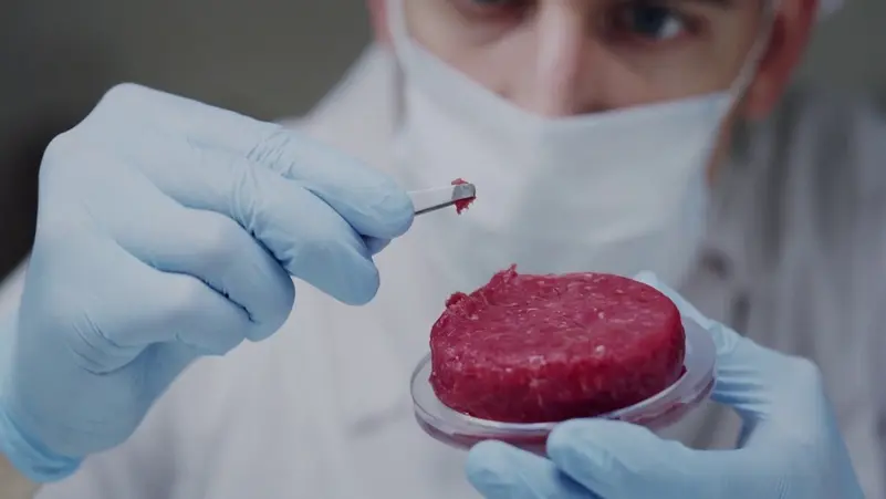 الأول من نوعه…تطبيق ذكي يمسح اللحوم المصنعة للوقاية من السرطان