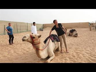 السياح يستمتعون بأول مدرسة لركوب الهجن بالقرب من دبي