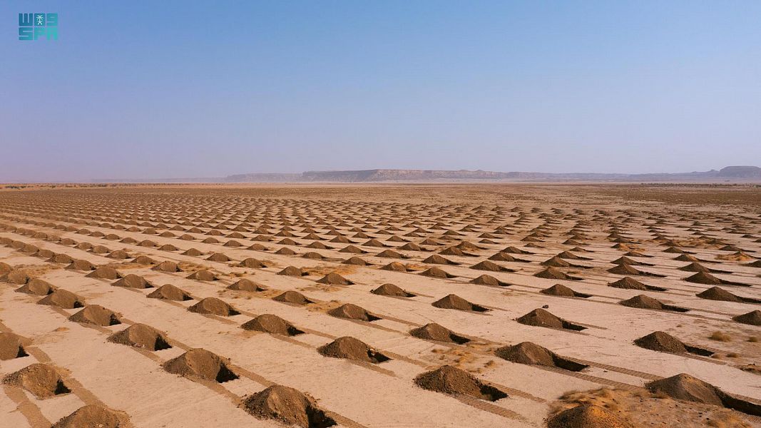 بدء المرحلة الأولى لزراعة “المليون شجرة” في محمية الملك عبدالعزيز الملكية