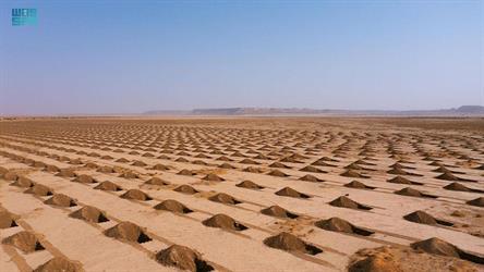 بدء المرحلة الأولى لزراعة مليون شجرة في روضة الخفس جنوب محمية الملك عبدالعزيز