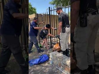 تحرير غزال علق في سياج حديدي بمجمع سكني في تكساس