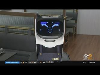 روبوت لطيف يقدم الطعام للزبائن في مطعم آسيوي بنيويورك