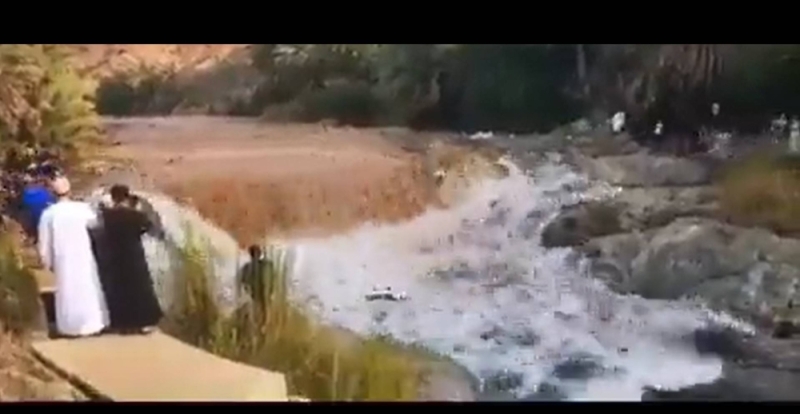 شاهد : سيول عارمة تفاجئ شباب يسبحون في وادي بسلطنة عُمان