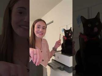 فتاة تلتقط صوراً لأرجل القطط بجهاز ماسح ضوئي