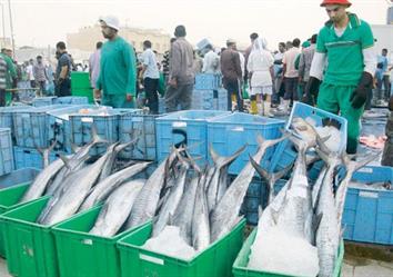 تاجر أسماك بسوق القطيف يتحدث لـ”أخبار24″ عن المهنة وتوارثها بين الأجيال (فيديو)