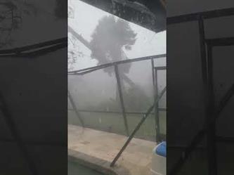 سيدة توثق لحظة حدوث أضرار في منزلها بفلوريدا بسبب إعصار “إيان”