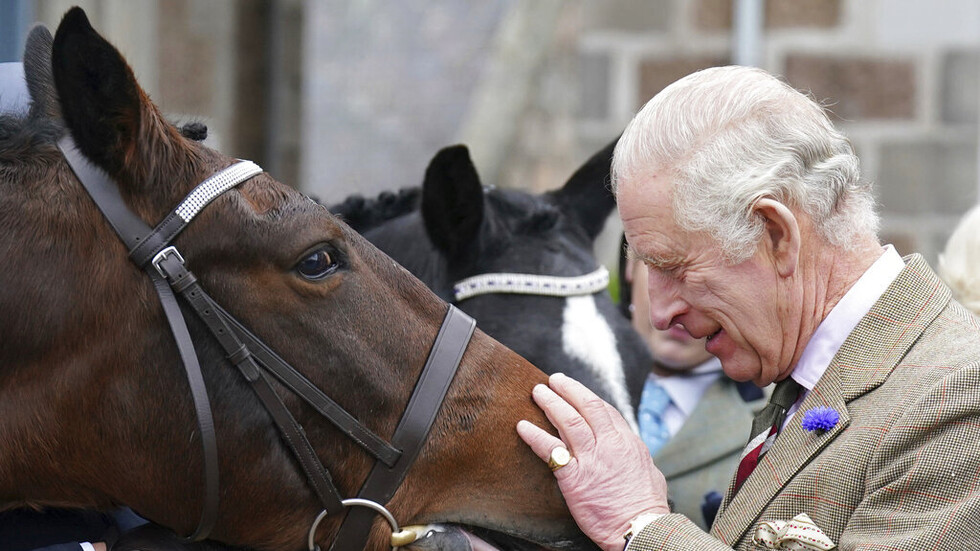 “ميراثه من والدته”.. تشارلز الثالث يبيع 14 من خيول الملكة إليزابيث الثانية