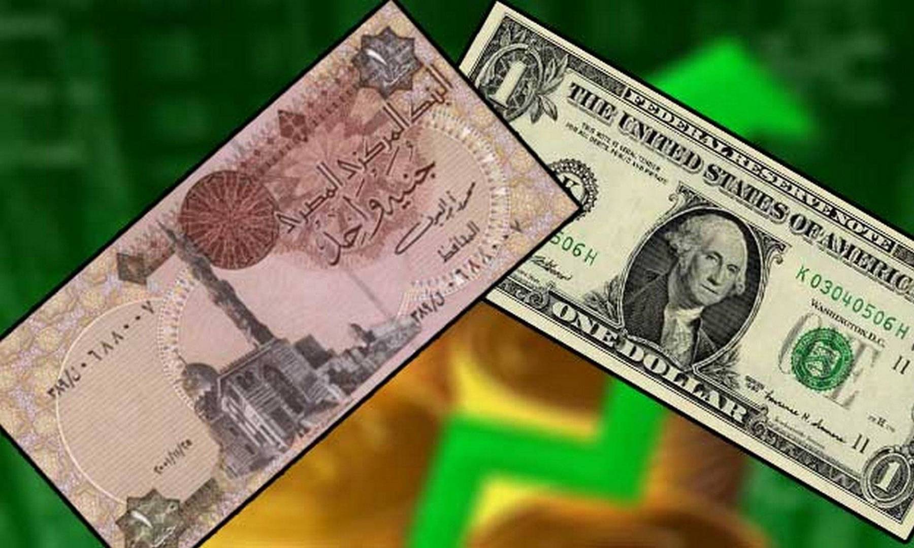 ارتفاع جديد في سعر الدولار بمصر
