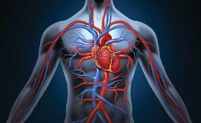 “سعود الطبية”: 5 أعراض لا يجب إهمالها لتجنب الإصابة بأمراض القلب