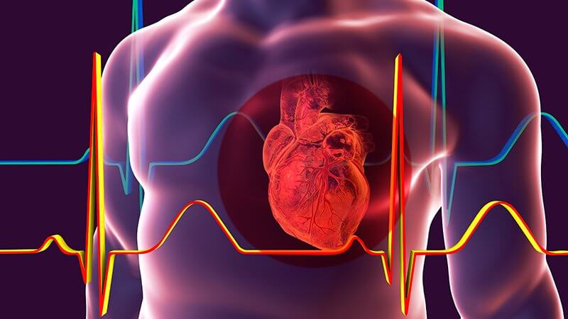 هل يمكن أن تتحسن عضلة القلب الضعيفة بعد عملية القلب المفتوح؟.. “النمر” يجيب