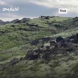 جبال وأودية جدة تتحول للوحات خضراء بعد موجات الأمطار (فيديو)