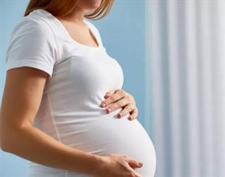 “الصحة”: 3 فحوصات ضرورية للحامل لضمان سلامة الجنين