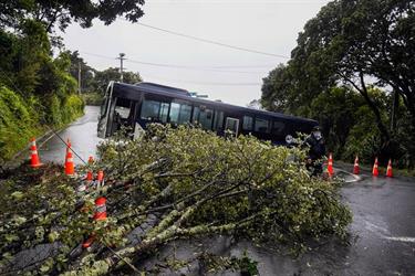 الحكومة النيوزيلندية تعلن حالة الطوارئ بسبب إعصار عنيف