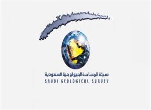 "المساحة الجيولوجية": رصد هزة أرضية شرق سلطنة عمان تبعد عن حدود المملكة 240 كم 
