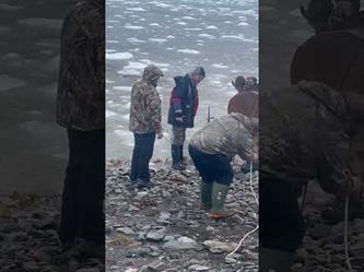 انقاذ درفيل باستخدام حفار بعد أن علق على شاطئ في كندا