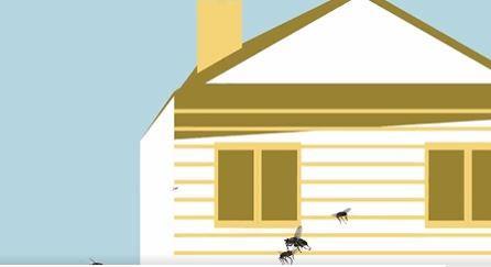 لبيئة آمنة وصحية.. 7 إرشادات تساعدك على مكافحة الحشرات
