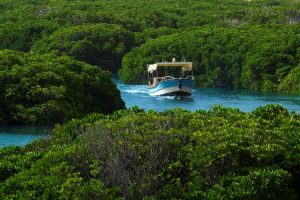  فيديو| منسق اللجنة السياحية بجزر فرسان: جزر فرسان قد تكون المكان الوحيد الذي يتفرد ببيئات متعددة
