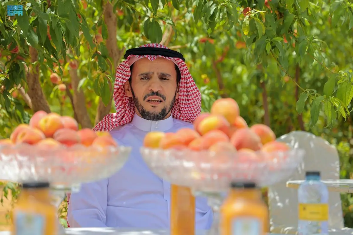 مدير بيئة القصيم: زراعة فاكهة الخوخ هي إحدى المشاريع الرائدة بالمنطقة