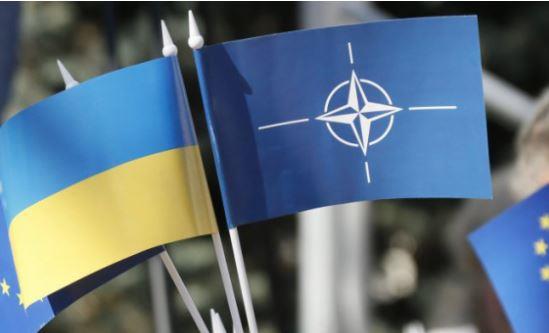 مدير مركز بروكسل للبحوث: أوكرانيا لن تنضم لحلف الناتو حتى بعد انتهاء الحرب