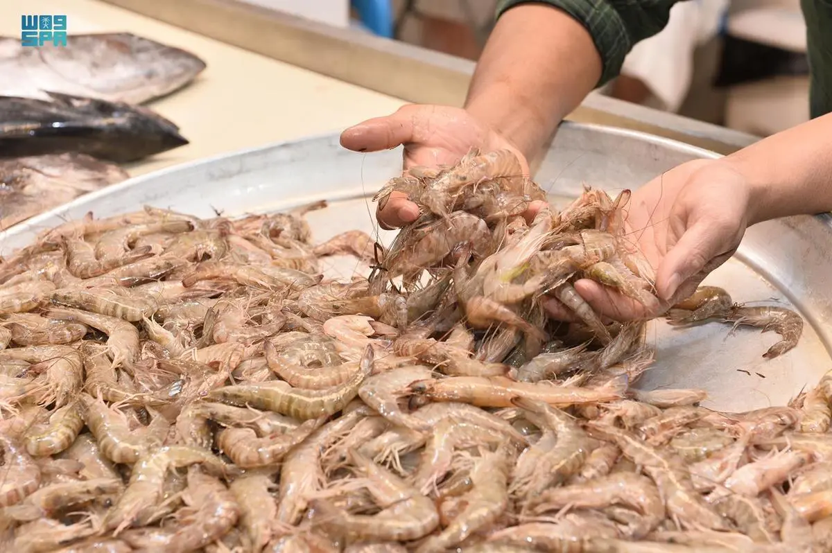 أسواق الأسماك والروبيان في الشرقية تستقبل بواكير صيد الروبيان للموسم 2023م