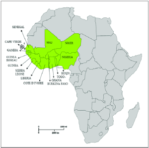 إكواس يعلن عن قمة لمواجهة انقلاب النيجر