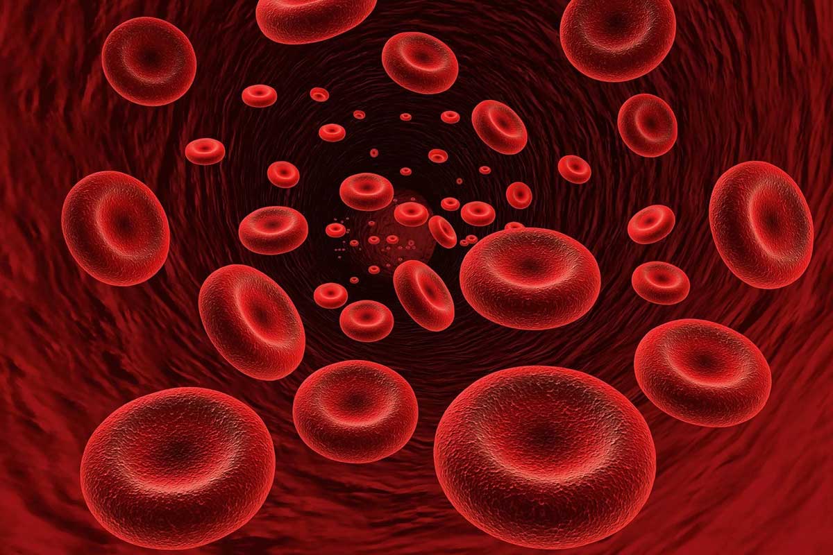 اختصاصي الدم والأورام: الإرهاق وبرودة الأطراف وشحوب الوجه من أهم أعراض الإصابة بفقر الدم