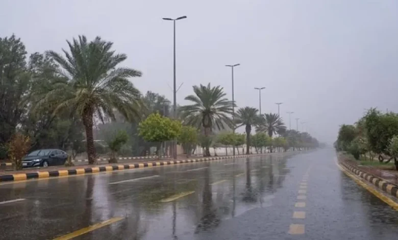 “الأرصاد”: أمطار متوسطة على منطقة نجران