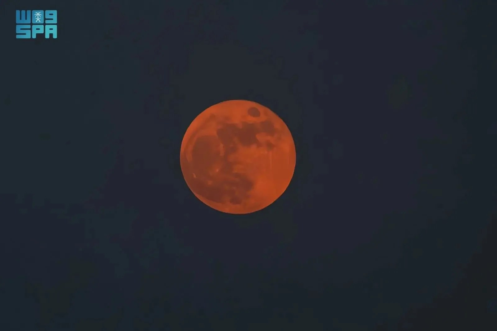 بالصور.. ظاهرة «القمر العملاق» الأخير لهذا العام