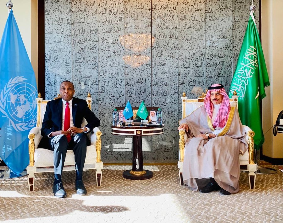 وزير الخارجية يبحث مع رئيس وزراء الصومال العلاقات الثنائية وسبل تعزيزها