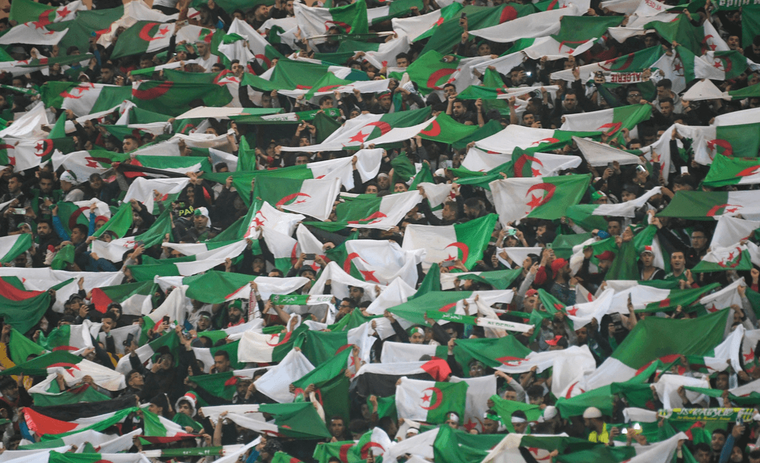 الاتحاد الجزائري لكرة القدم يُعلق جميع مسابقاته تضامنًا مع الشعب الفلسطيني