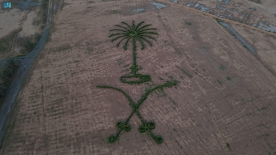 "الأقحوان" يرسم "السيفين والنخلة" بـ"براري" رفحاء