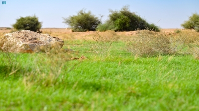 "محمية الإمام".. تنوُّع بيئي وأحيائي بـ5 مناطق