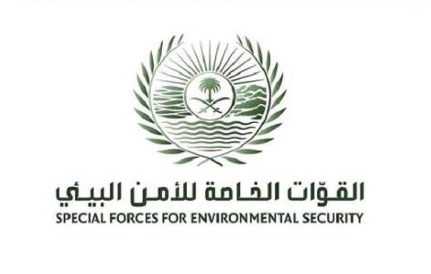 القوات الخاصة للأمن البيئي تضبط 3 مخالفين لنظام البيئة لاقتلاعهم 112 شجرة دون ترخيص بمنطقة الرياض