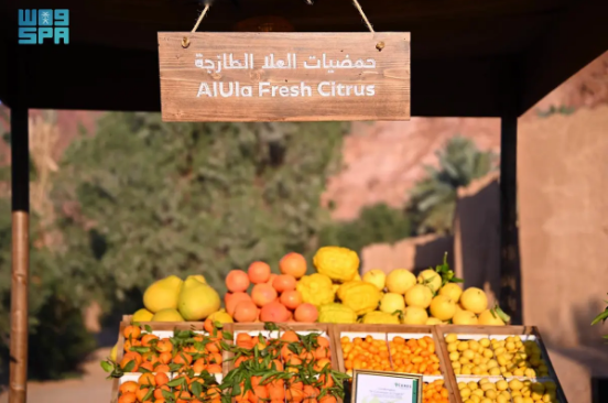 الهيئة الملكية لمحافظة العلا تطلق مهرجان العلا للحمضيات