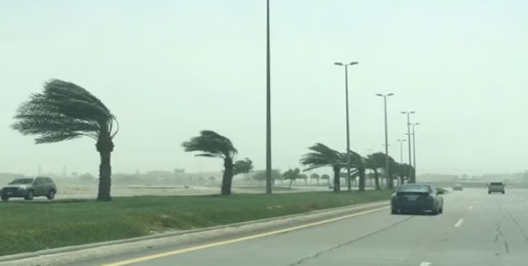 “الأرصاد” : رياح شديدة على منطقة المدينة المنورة