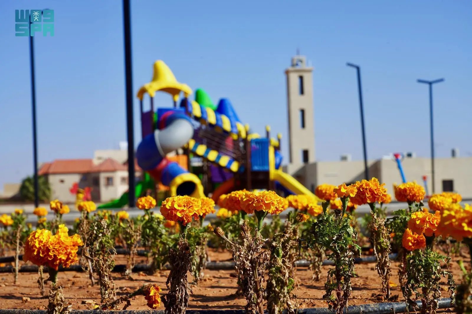 أمانة الشمالية تعزز برامج جودة الحياة في 20 حديقة وترفع كفاءة الخدمات البلدية في رفحاء