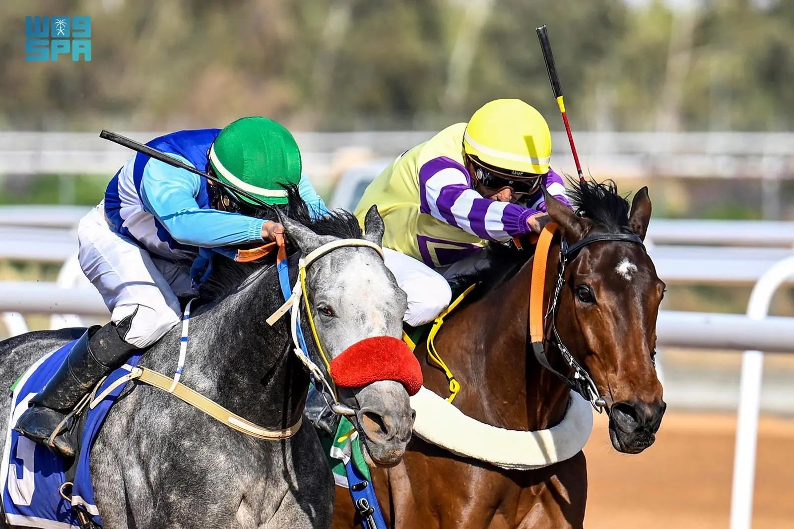 فروسية جدة تختتم موسمها الشتوي بـ 6 كؤوس وجوائز نقدية وصلت لأكثر من مليون ريال