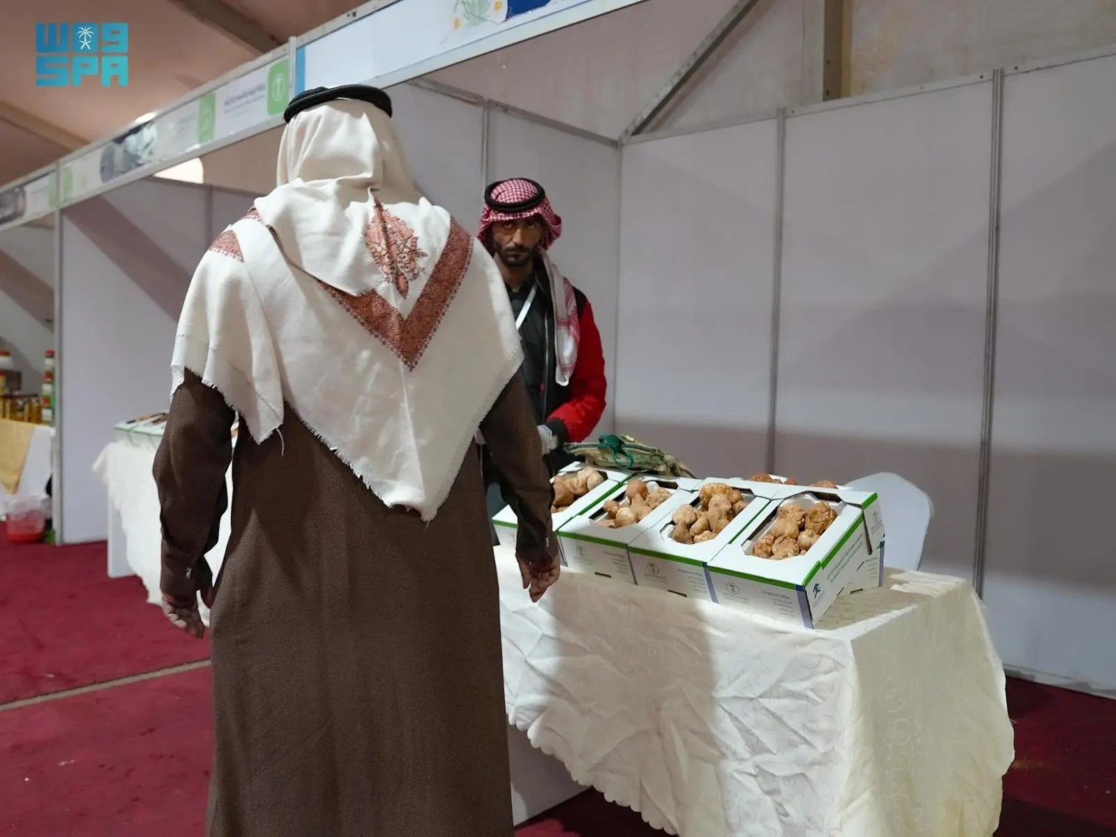 انطلاق فعاليات مهرجان الكمأة والنباتات العطرية بسكاكا لمدة 10 أيام