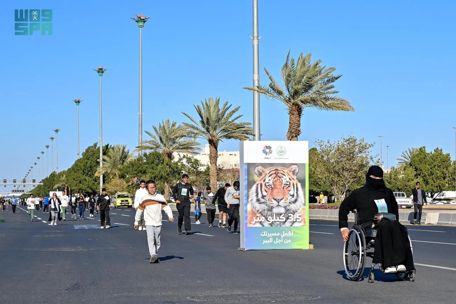 أكثر من 2000 مشارك في مسيرة ” كات ووك 2024 ” بمنطقة تبوك