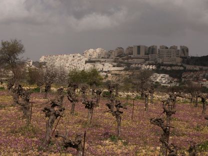 الأمم المتحدة: توسع إسرائيل في بناء مستوطنات الضفة الغربية “جريمة حرب”