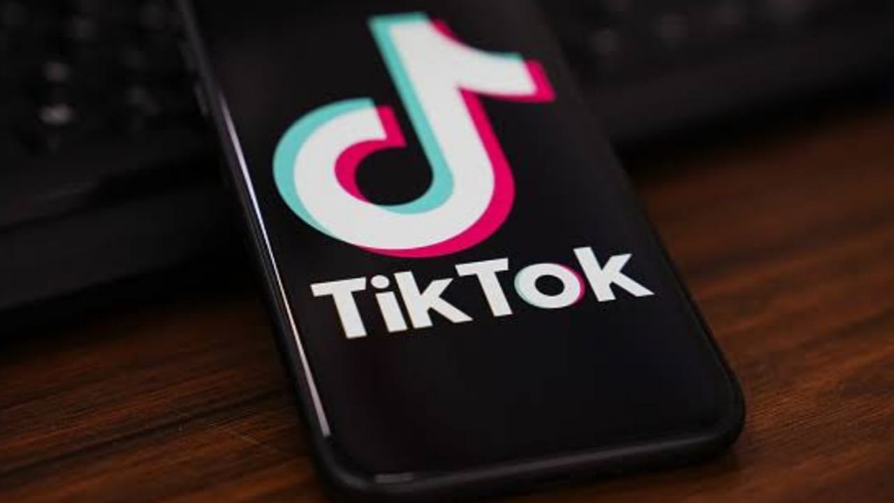 ألفيش يحتفل بحريته بالبرغر