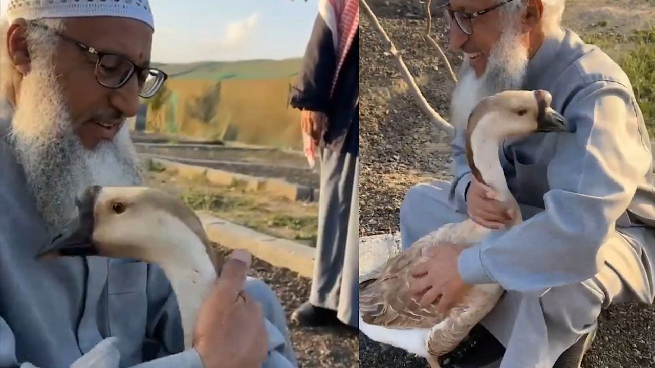 البطاقات تهدد 4 لاعبين من ريال مدريد