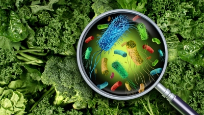 'القرفة' تحمي الأغذية من 'البكتيريا'