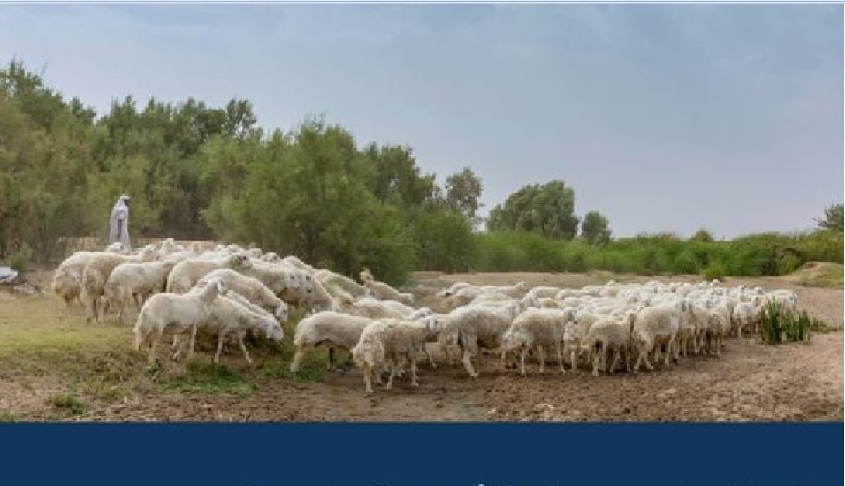 وزارة البيئة والمياه والزراعة تطرح فرصة استثمارية في منطقة الرياض