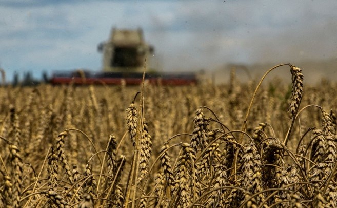 الاتحاد الأوروبي يوافق على تشديد القيود على الواردات الزراعية الأوكرانية