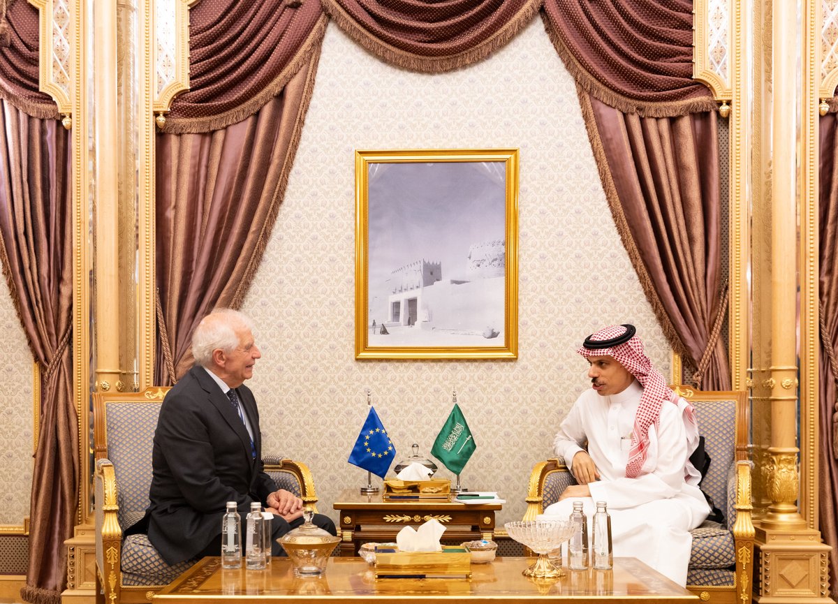 وزير الخارجية يبحث وممثل الاتحاد الأوروبي أوضاع غزة والتصعيد الأخير بالمنطقة